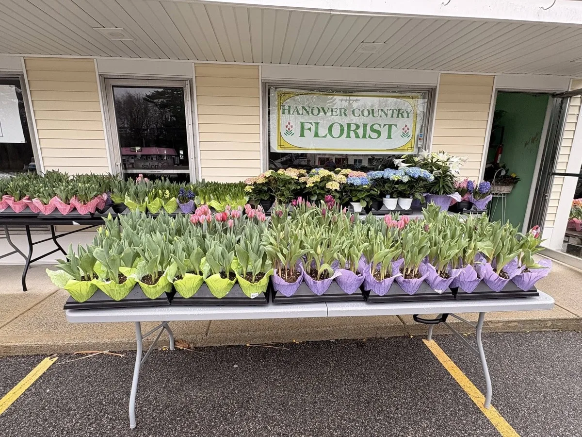 Hanover Country Florist storefront